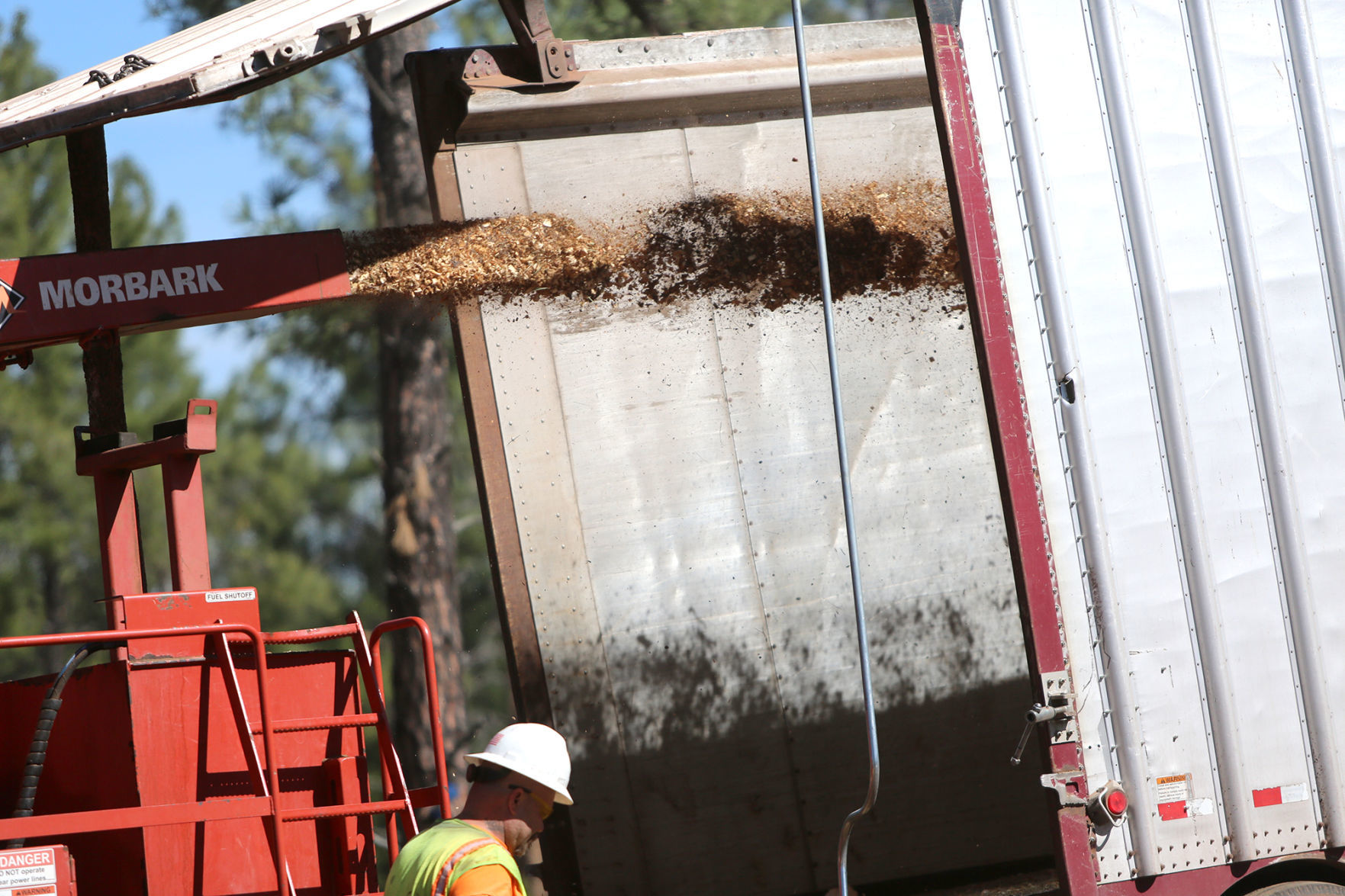 Biomass in the making